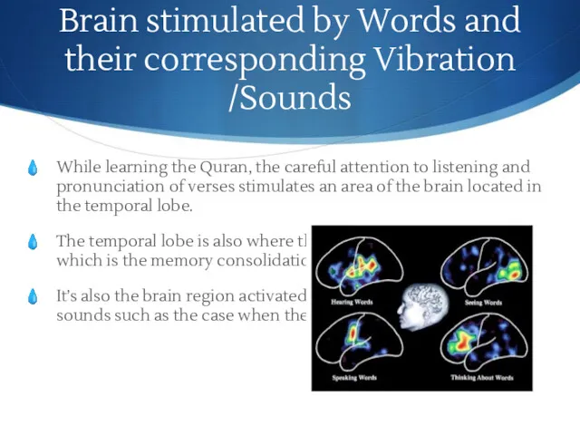 Brain stimulated by Words and their corresponding Vibration /Sounds While learning the Quran,