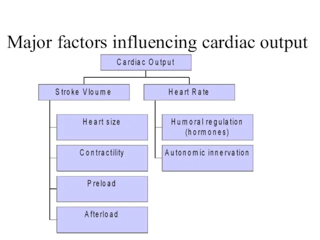 Major factors influencing cardiac output