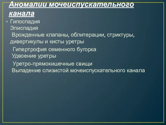 Аномалии мочеиспускательного канала Гипоспадия Эписпадия Врожденные клапаны, облитерации, стриктуры, дивертикулы