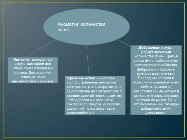 Аномалии количества почек Аплазия - врожденное отсутствие одной или обеих почек и почечных