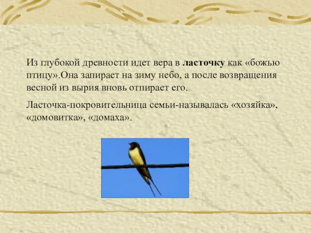 Из глубокой древности идет вера в ласточку как «божью птицу».Она