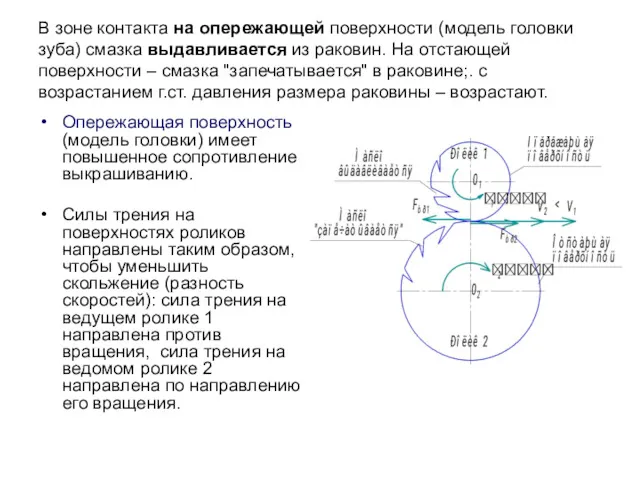 В зоне контакта на опережающей поверхности (модель головки зуба) смазка