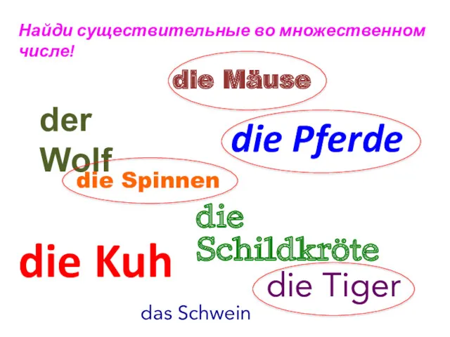 Найди существительные во множественном числе! der Wolf die Pferde die Spinnen die Schildkröte