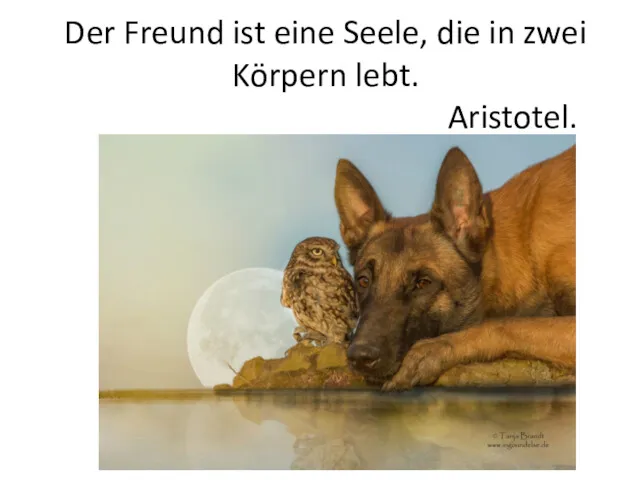 Der Freund ist eine Seele, die in zwei Körpern lebt. Aristotel.