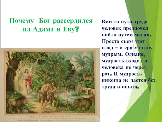 Почему Бог рассердился на Адама и Еву? Вместо пути труда