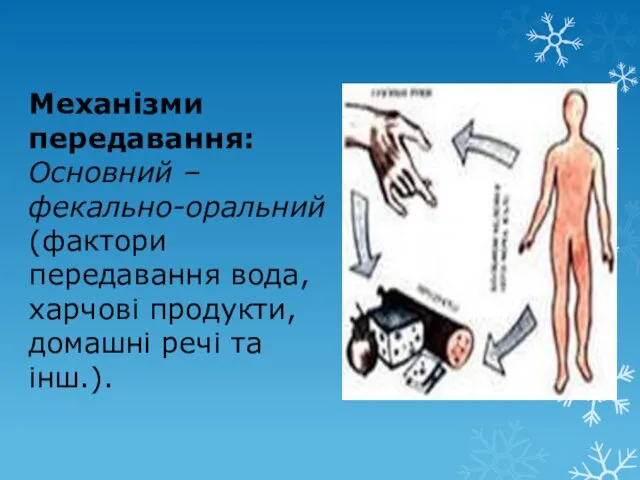 Механізми передавання: Основний – фекально-оральний (фактори передавання вода, харчові продукти, домашні речі та інш.).