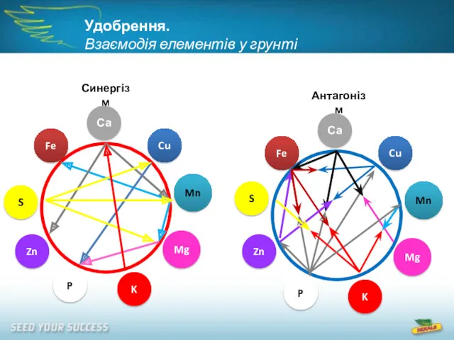 Удобрення. Взаємодія елементів у грунті Антагонізм