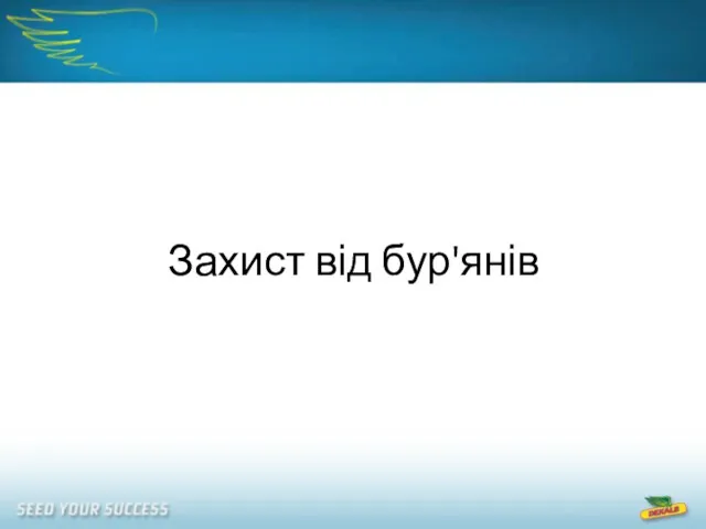 Захист від бур'янів