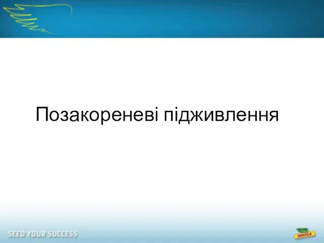 Позакореневі підживлення