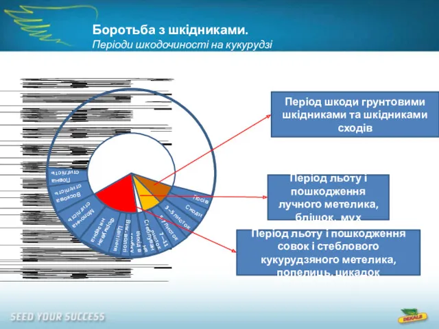 Період льоту і пошкодження лучного метелика, блішок, мух Період льоту