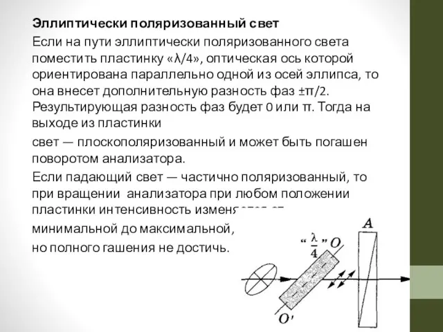 Эллиптически поляризованный свет Если на пути эллиптически поляризованного света поместить