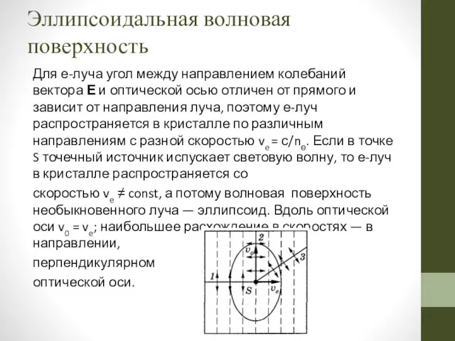 Эллипсоидальная волновая поверхность Для е-луча угол между направлением колебаний вектора