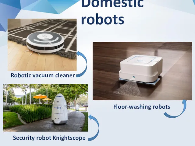 Domestic robots Robotic vacuum cleaner Floor-washing robots Security robot Knightscope