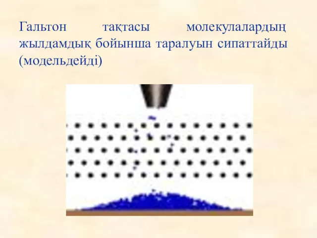 Гальтон тақтасы молекулалардың жылдамдық бойынша таралуын сипаттайды(модельдейді)