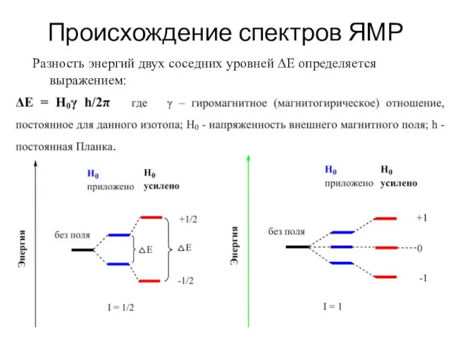 Происхождение спектров ЯМР Разность энергий двух соседних уровней ΔЕ определяется выражением: