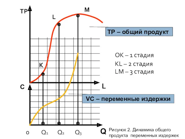 L TР С 0 Q1 Q2 Q3 K L M