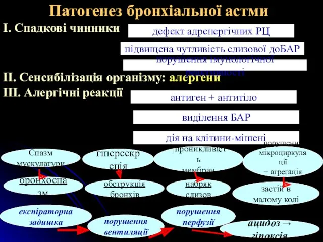 Патогенез бронхіальної астми І. Спадкові чинники ІІ. Сенсибілізація організму: алергени ІІІ. Алергічні реакції