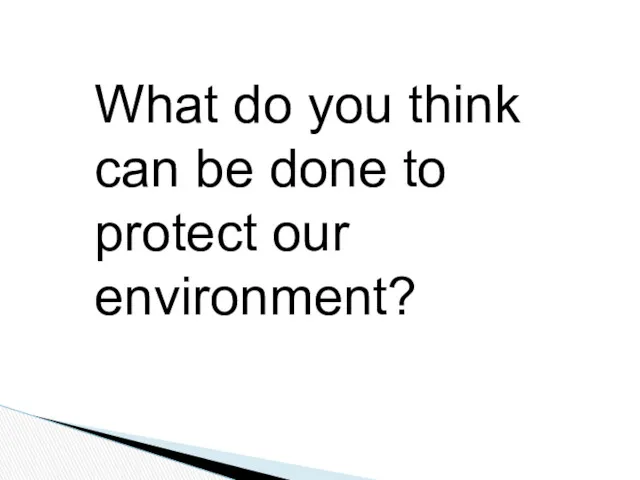 What do you think can be done to protect our environment?