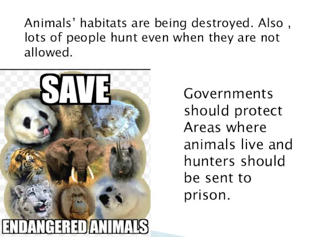 Animals’ habitats are being destroyed. Also , lots of people