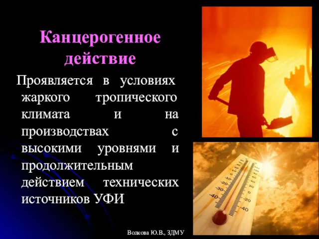 Канцерогенное действие Проявляется в условиях жаркого тропического климата и на