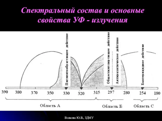 Спектральный состав и основные свойства УФ - излучения Волкова Ю.В., ЗДМУ