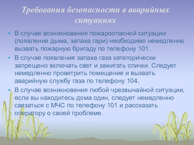 Требования безопасности в аварийных ситуациях В случае возникновения пожароопасной ситуации