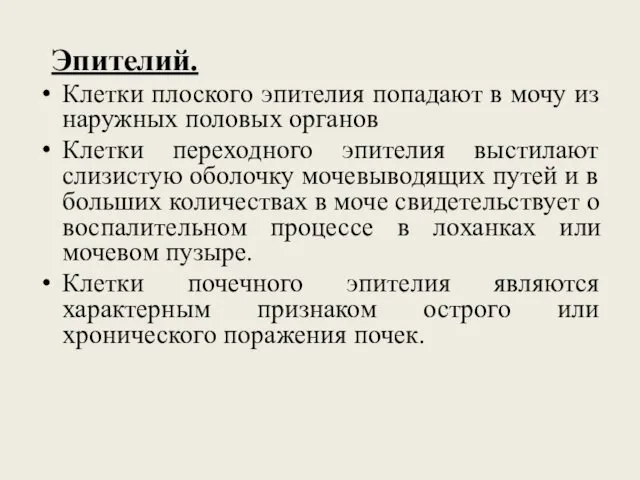 Эпителий. Клетки плоского эпителия попадают в мочу из наружных половых