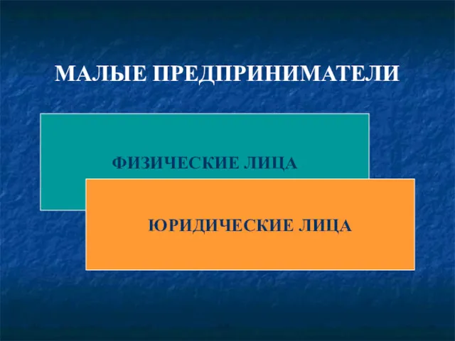 МАЛЫЕ ПРЕДПРИНИМАТЕЛИ ФИЗИЧЕСКИЕ ЛИЦА ЮРИДИЧЕСКИЕ ЛИЦА