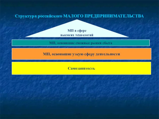 Структура российского МАЛОГО ПРЕДПРИНИМАТЕЛЬСТВА МП, освоившие смежные рынки сбыта МП,