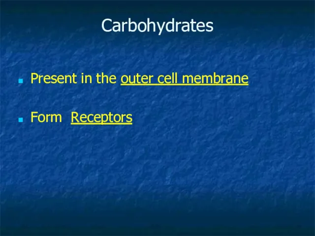 Carbohydrates Present in the outer cell membrane Form Receptors
