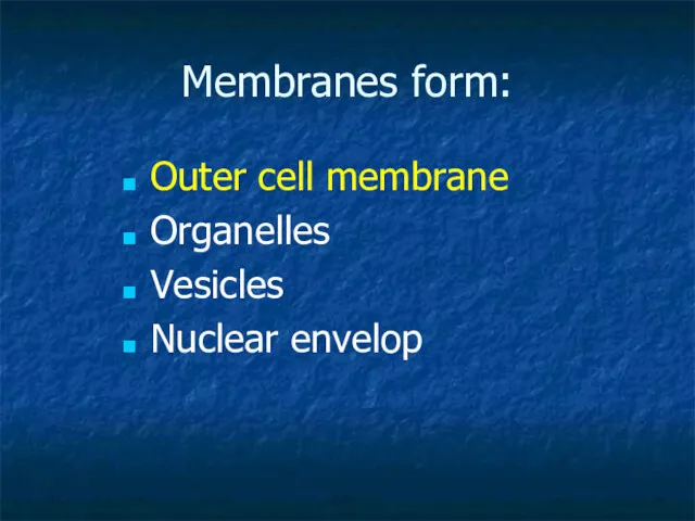 Membranes form: Outer cell membrane Organelles Vesicles Nuclear envelop