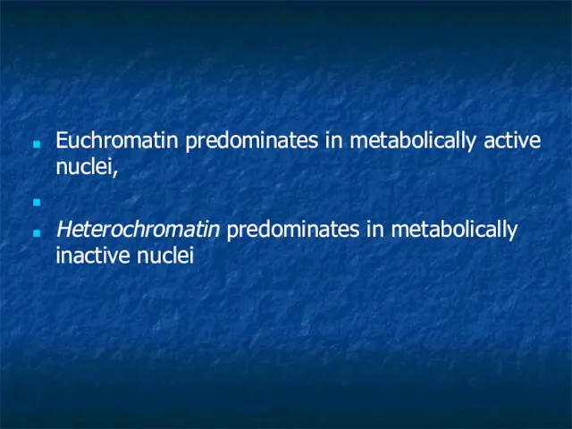 Euchromatin predominates in metabolically active nuclei, Heterochromatin predominates in metabolically inactive nuclei