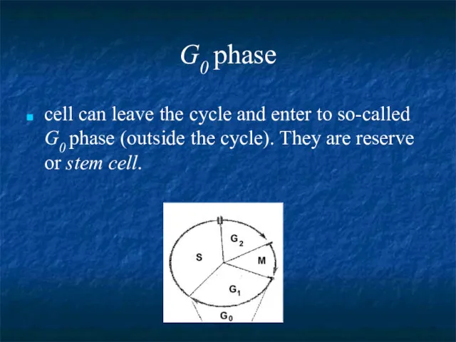G0 phase cell can leave the cycle and enter to so-called G0 phase