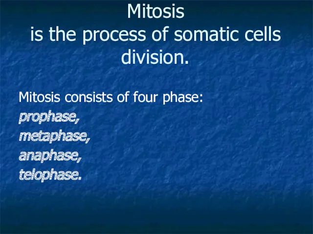 Mitosis is the process of somatic cells division. Mitosis consists of four phase: