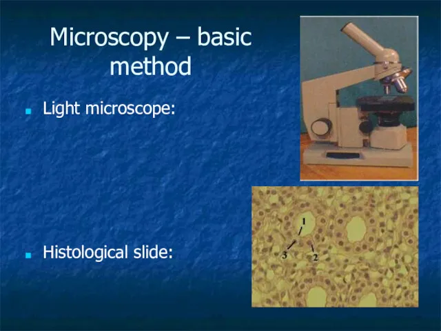 Microscopy – basic method Light microscope: Histological slide: