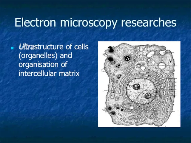 Electron microscopy researches Ultrastructure of cells (organelles) and organisation of intercellular matrix