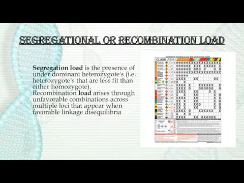 Segregational or recombination load Segregation load is the presence of