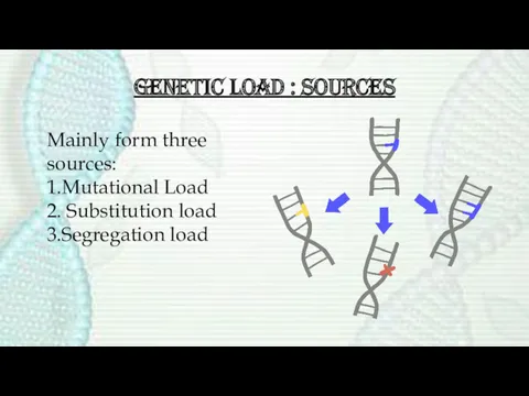 Genetic load : Sources Mainly form three sources: 1.Mutational Load 2. Substitution load 3.Segregation load