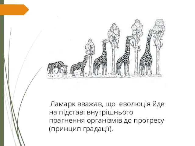 Ламарк вважав, що еволюція йде на підставі внутрішнього прагнення організмів до прогресу (принцип градації).