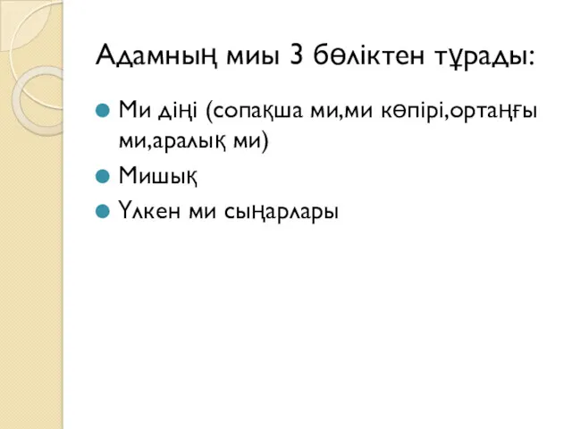 Адамның миы 3 бөліктен тұрады: Ми діңі (сопақша ми,ми көпірі,ортаңғы ми,аралық ми) Мишық Үлкен ми сыңарлары