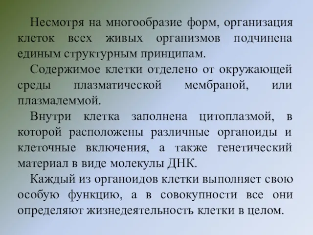 Несмотря на многообразие форм, организация клеток всех живых организмов подчинена