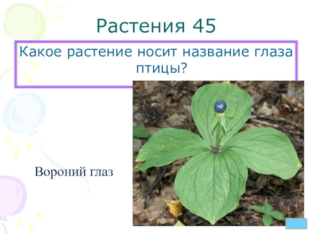 Растения 45 Какое растение носит название глаза птицы? Вороний глаз
