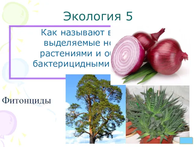 Экология 5 Как называют вещества, выделяемые некоторыми растениями и обладающие бактерицидными свойствами? Фитонциды