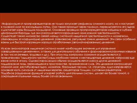 Информация от про­приорецепторов не только запускает рефлексы спинного мозга, но