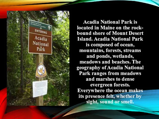 Acadia National Park is located in Maine on the rock-