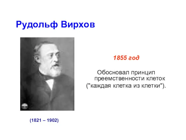 Рудольф Вирхов 1855 год Обосновал принцип преемственности клеток ("каждая клетка из клетки"). (1821 – 1902)