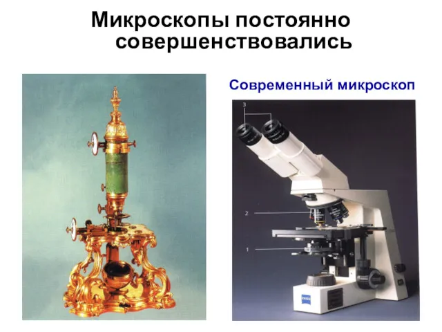 Микроскопы постоянно совершенствовались Современный микроскоп