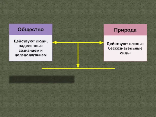 Гармоничная Конфликтная Взаимосвязь общества с природой