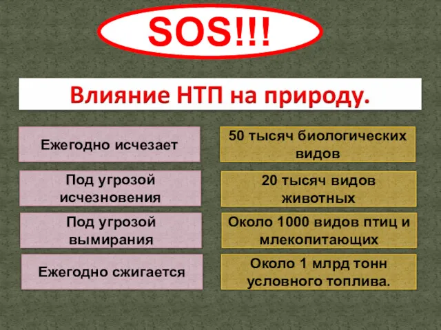 SOS!!! Ежегодно исчезает 50 тысяч биологических видов Под угрозой исчезновения