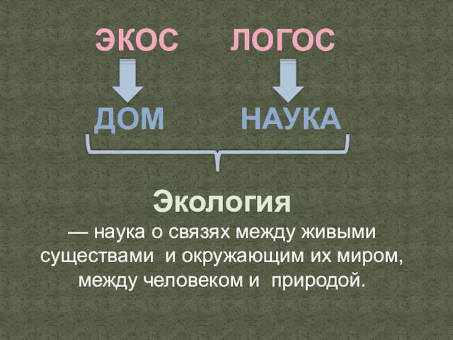 ЭКОС ЛОГОС ДОМ НАУКА Экология — наука о связях между